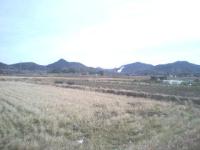 春を待つ犬山羽黒の田んぼ