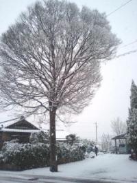 2008.2.9.雪景色!