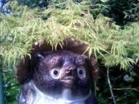 おはようございます!ようこそ