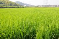 –Ò‹!¡”N‚à–Lì‚Å‚ ‚è‚Ü‚·‚悤‚É!