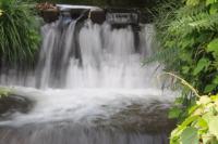 涼・・。薬師川の堰。楽田長塚東。