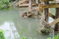夏の終わりか 集中豪雨 濁流の跡2