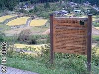 坂折棚田 稔りの秋 真っ盛り