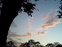秋の 夕暮れ