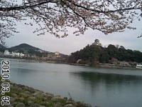 そうだ、犬山へ行こう! 桜満開 犬山城