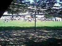芝生の校庭 素足で体操:東桜小学校
