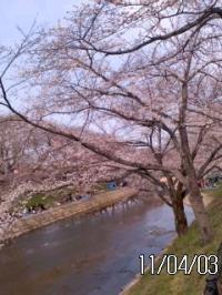 かかみがはら市新境川堤