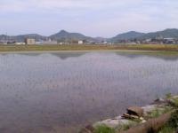 田植え 終わる