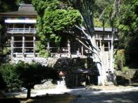日龍峯寺 本堂 (関市武儀町高沢)