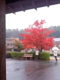 明治村の秋