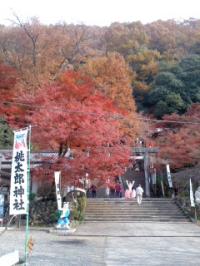 錦秋 桃太郎神社・犬山市