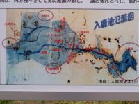 新郷瀬川堤の桜