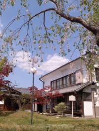 若葉の候 小弓の庄庭園