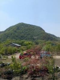 新緑 可児市花木センター
