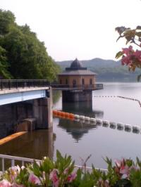 新緑 入鹿池配水塔
