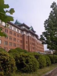 新緑 愛知県庁前
