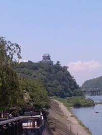 夏本番 犬山城