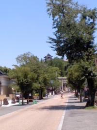 夏本番 犬山城