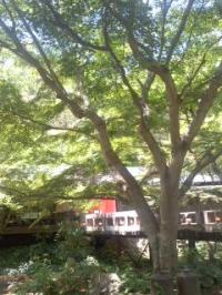 酷暑に清涼 奥多治見にて