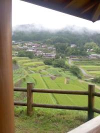 雨 坂折棚田