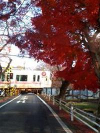 羽黒の晩秋 五条川 未来園前