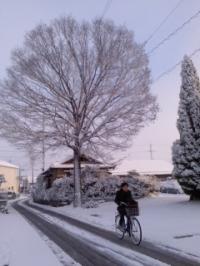 積雪15cm