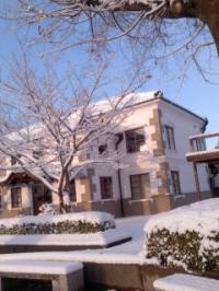 積雪15cm