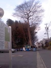 春はまだまだ 興禅寺にて