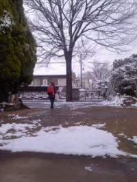 春雪10cm行ってきます!