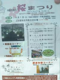 羽黒五条川桜まつり 4月1日