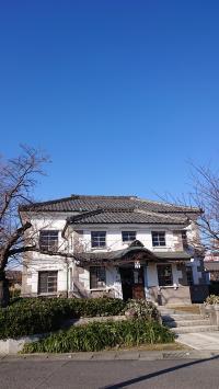 迎春 小弓の庄