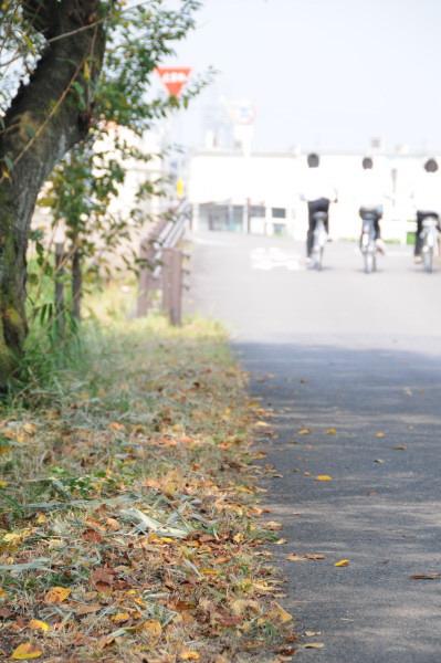 二学期 スタート。 桜街道にて