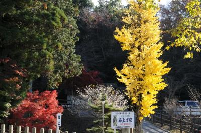 尾張富士 大宮浅間神社の紅葉