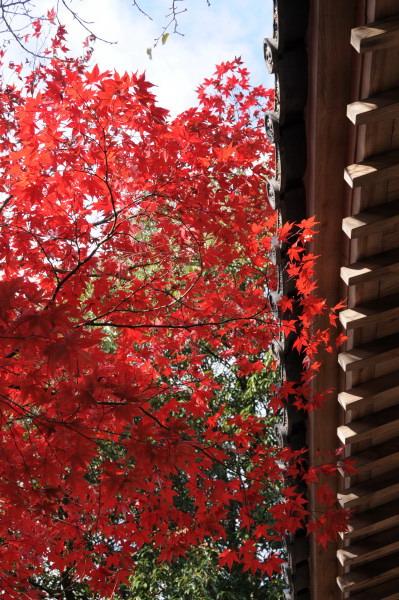 寂光院の紅葉