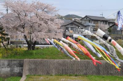 新郷瀬川の 春 -8-