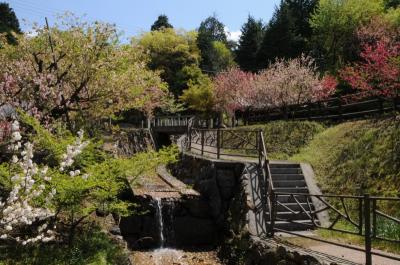 大宮浅間神社の -2- 尾張富士