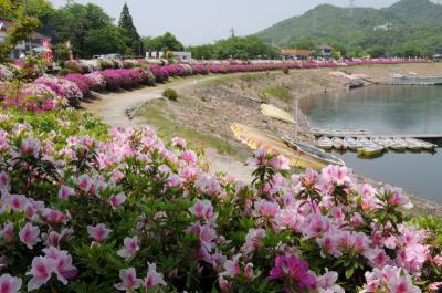 入鹿池 (後方に 明治村)