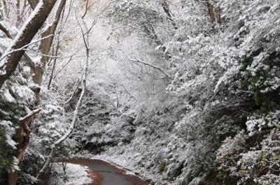 雪の尾張富士参道 -1-