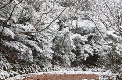 雪の尾張富士参道 -3-