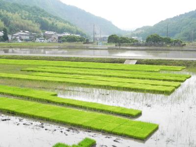 田植えシーズン到来 -1-
