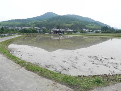 田植えシーズン到来 -2-