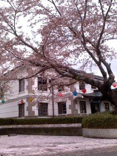 行く春・花じゅうたん(小弓の庄)