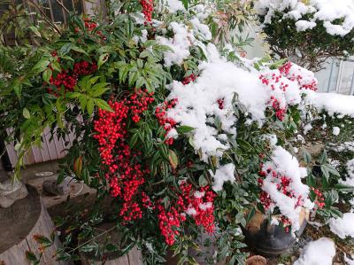 2018年12月29日 初雪