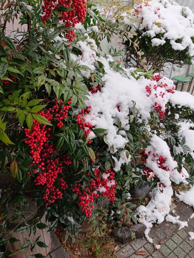 2018年12月29日 初雪