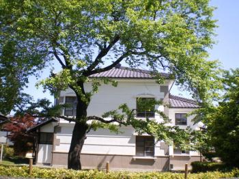 新緑の小弓の庄 南面