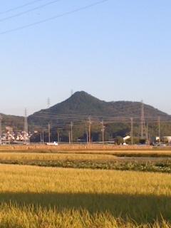 稔りの秋 尾張富士