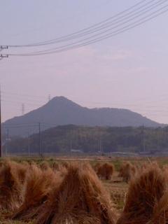 秋深し 小弓の庄