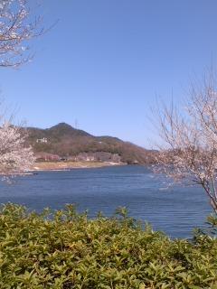 春一番明けて満水入鹿池