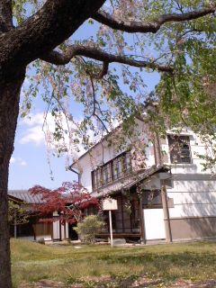 若葉の候 小弓の庄庭園
