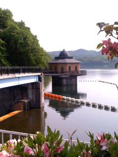 新緑の入鹿池 満水